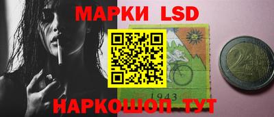 стафф Новозыбков
