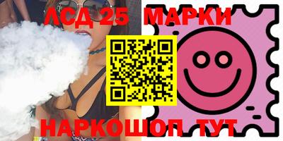 СК Новодвинск