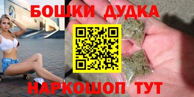 стафф Новозыбков