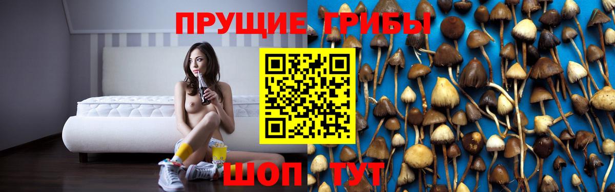 Галлюциногенные грибы GOLDEN TEACHER  Псилоцибиновые грибы мицелий  Пенза  Вход с VPN 